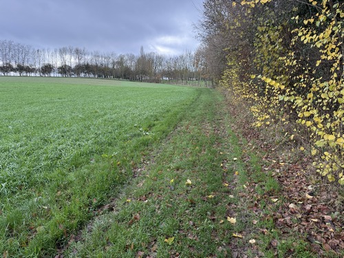 Nous longeons Bois-l'Evêque en marchant maintenant vers le sud.