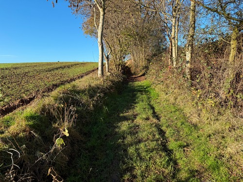 Nous sortons du hameau par la rue de Coqueréaumont, et tournons vers le nord dans les Terres de la Sente.