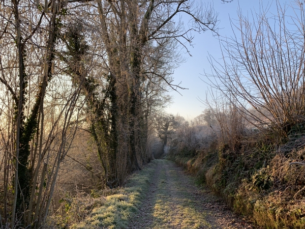 Chemin de la Girafe à proximité des étangs de Mathonville.