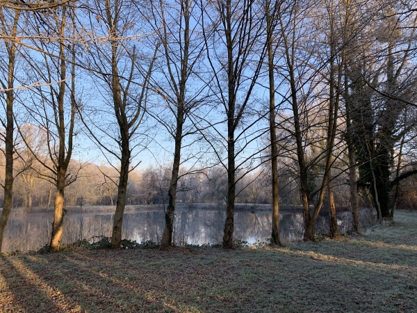 Les étangs de Mathonville dans la vallée de la Varenne.