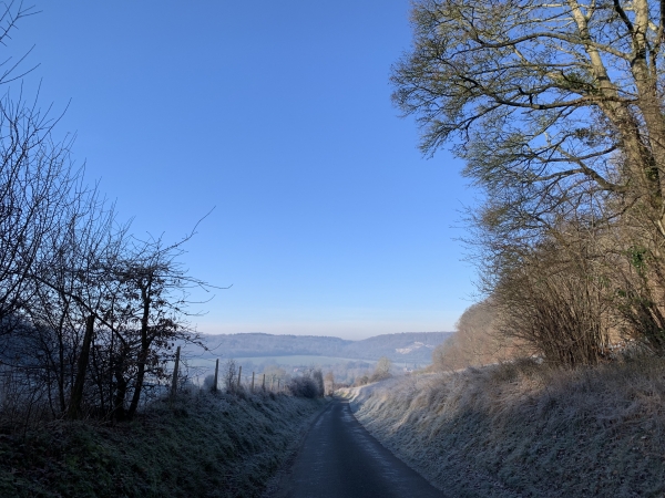 Nous suivons la route de la Crapaudière pour sortir de la forêt d'Eawy.