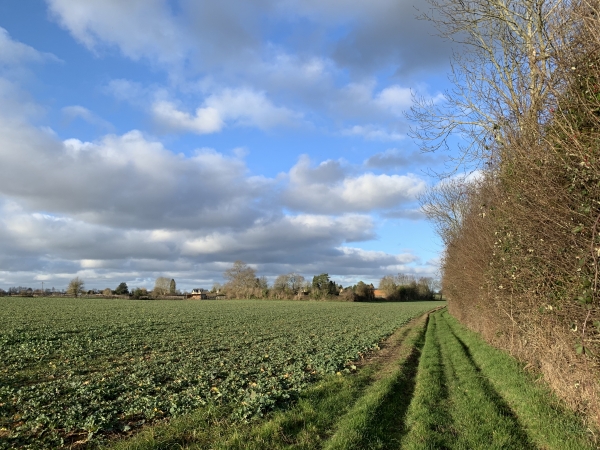 Le Haut de la Côte de Fiquefleur. Dans quelques mètres, nous rejoindrons le GR 223
