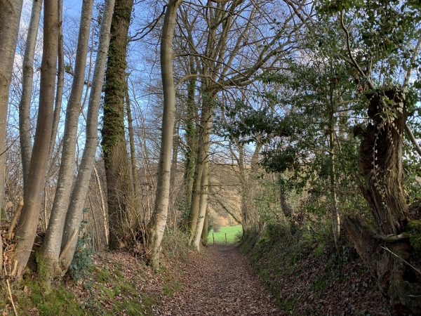 Nous descendons le chemin du Clos du Milieu.