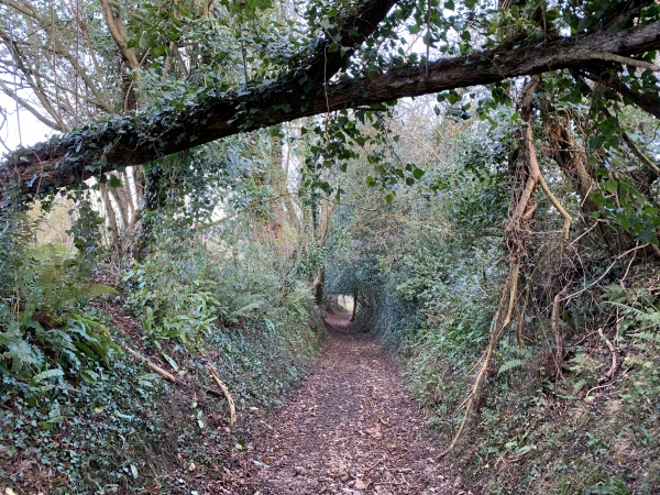 Chemin du Clos du Milieu.