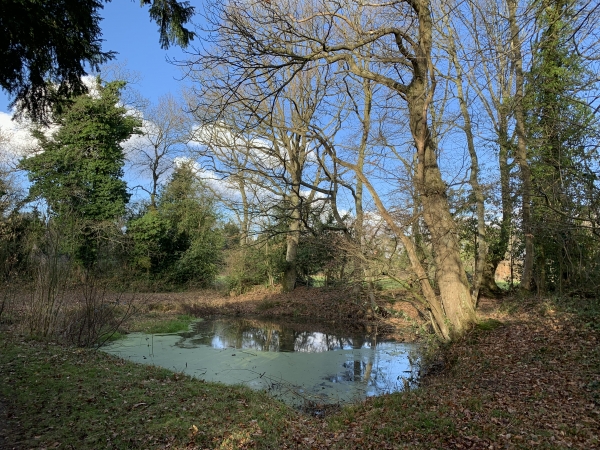 Les Bruyères de Fatouville.