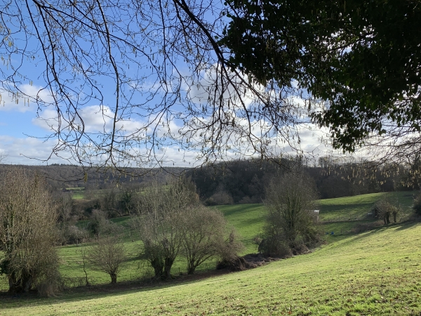 Chemin de l'Epinette.