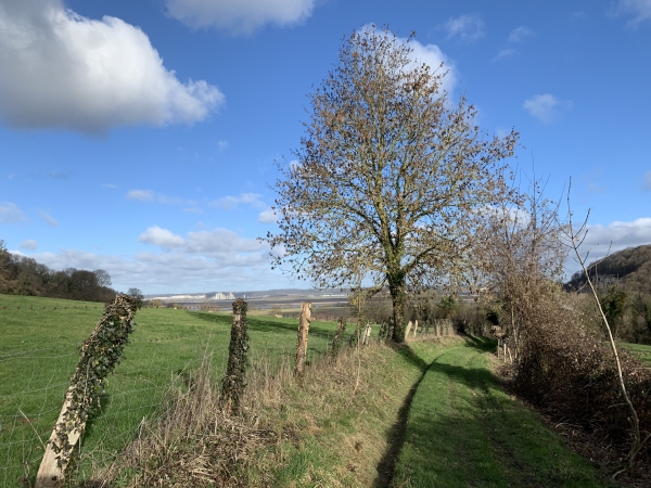Chemin de l'Epinette, nous descendons vers la Vilaine.