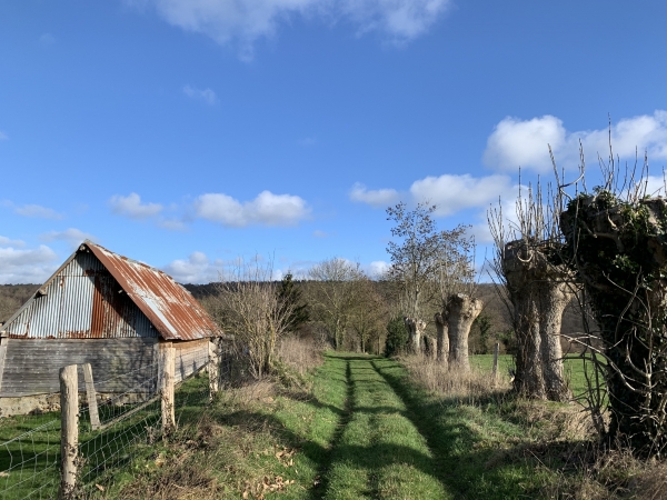 Chemin du Feugré, nous remontons vers le plateau.