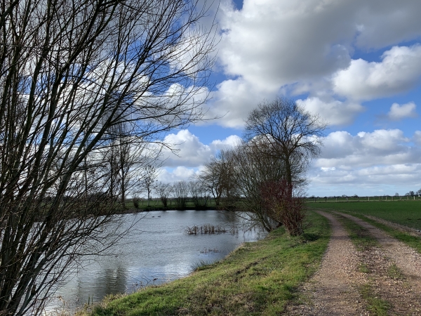 Fatouville-Grestain, l'Inglemare.