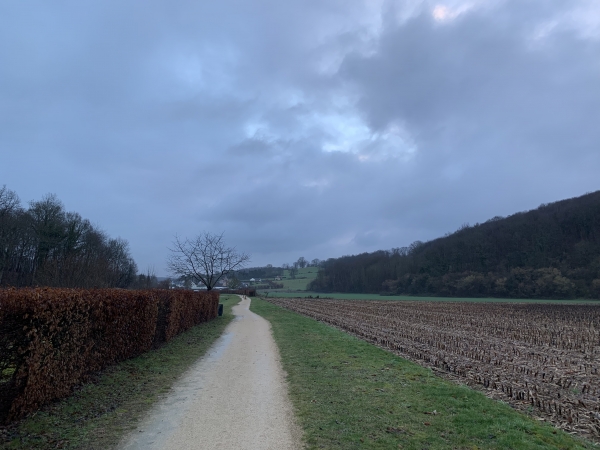 St-Aubin-Epinay, Epinay : sentier de la Ravine. La Ravine est un fossé creusé au XIXè siècle pour récolter les eaux de ruisselement des plateaux environnants.