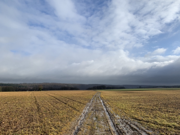 GR 25b dans la plaine de Franqueville-St-Pierre. C'est triste sous la pluie, en ce mois de Février, mais très agréable à la belle saison.