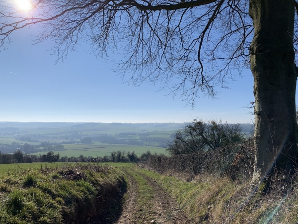 Côte du Mont Landrin, panorama sur la vallée de l'Eaulne.