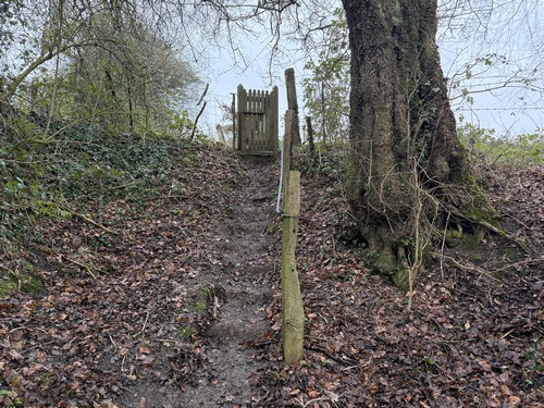 Les circuits de Mauquenchy ont été réaménagés en 2021. On voit ici un escalier dans une montée glissante.