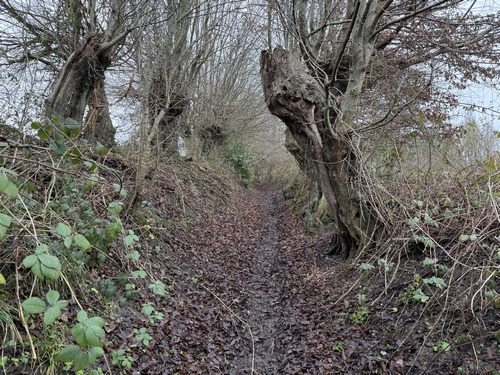 Je vais rejoindre la plaine des Croisettes, et passer sur le territoire de Roncherolles-en-Bray.