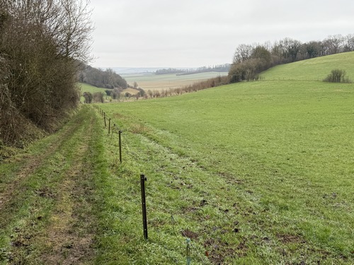 Après Liffremont, il y a une longue et belle descente dans le Fond de Forgettes. La descente sera suivie d'une montée sur le Mont Hallebout pour traverser la D919.