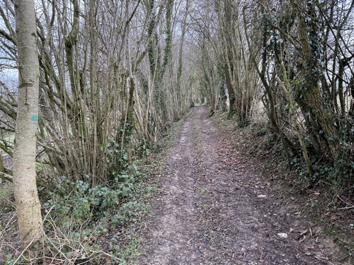 Les parties boisées ne sont pas nombreuses sur ce circuit. Je longe ici le bois Gamet au-dessus de l'hippodrome.