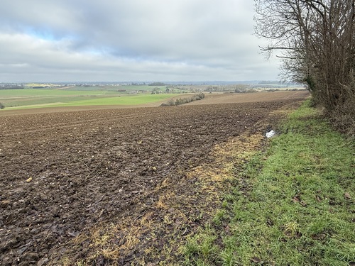 Plaine de Randillon, vue sur les paysages agricoles du Pays-de-Bray.