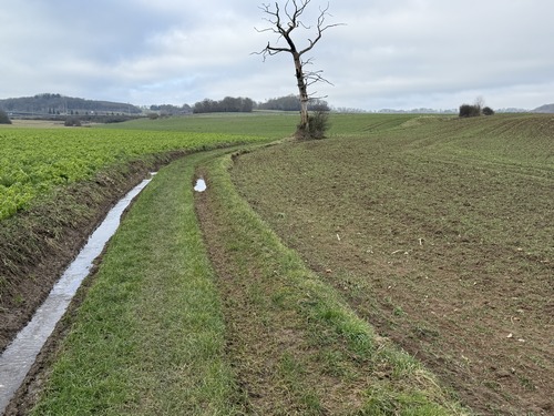 Arrivé au niveau du ruisseau du Randillon, je tourne vers le nord dans la plaine du Paradis.