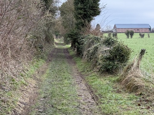 J'ai fermé la deuxième boucle et marche maintenant sur le chemin qui prolonge la rue du Tilleul.