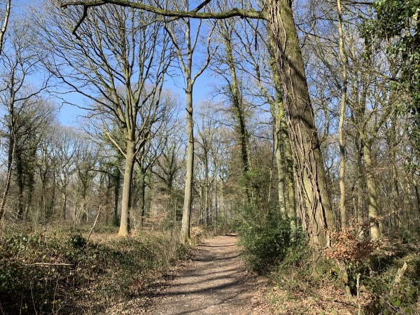 Nous sommes partis du parking du château des Deux-Amants, et marchons dans le bois de la Mouquillonne au-dessus de Romilly-sur-Andelle.