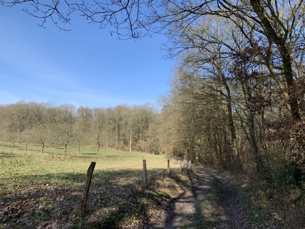 Nous sortons du bois pour traverser la plaine de Flipou (regard arrière en raison du soleil de face).