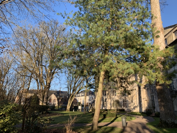 Ancienne Abbaye Notre-Dame.