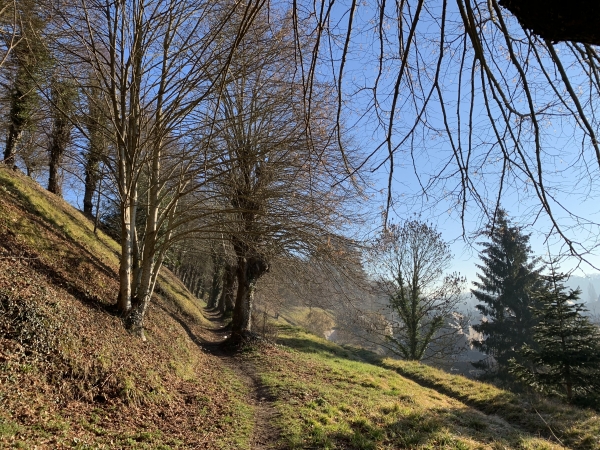 Notre itinéraire suit un chemin au-dessus de la ville, en direction du Boulevard des Monts.