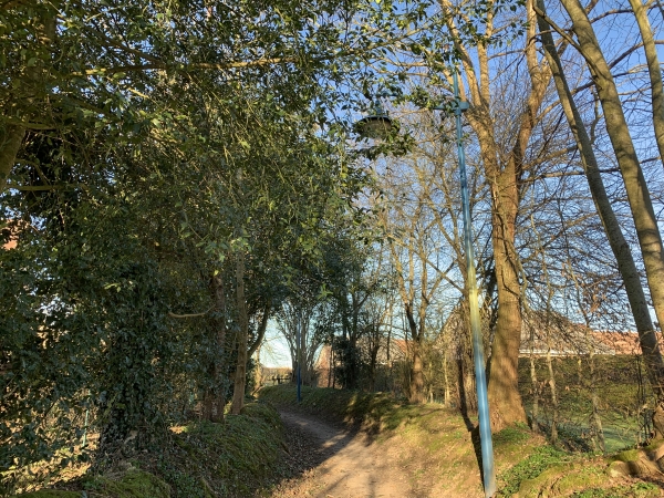 Bernay, notre circuit traverse le Mont Milon sur un chemin bordé d'arbres.