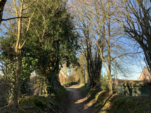 Bernay, notre circuit traverse le Mont Milon sur un chemin bordé d'arbres.