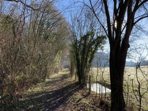 Champeaux, chemin de la Carrière.