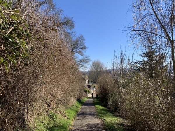 Bernay, sentier du Moulin Cosnier.