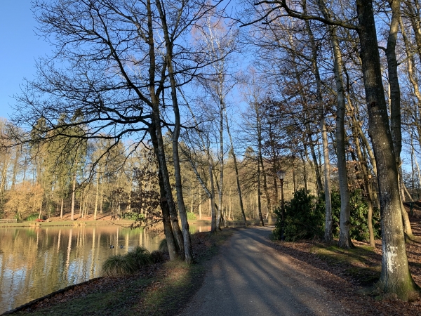 Chemin du Val de l'Andelle le long des étangs.