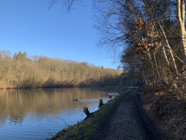 Chemin du Val de l'Andelle le long des étangs.