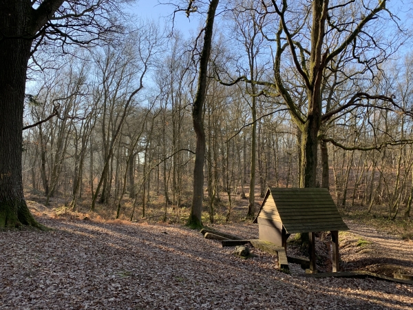 Bois de l'Epinay, source de la Chevrette.