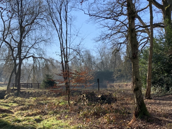 Bois de l'Epinay, sentier aménagé le long de la Chevrette.