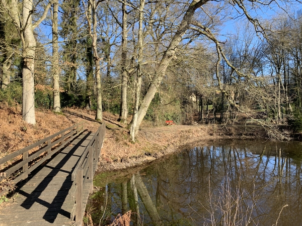 Etang de l'Epinay alimenté par la Chevrette.