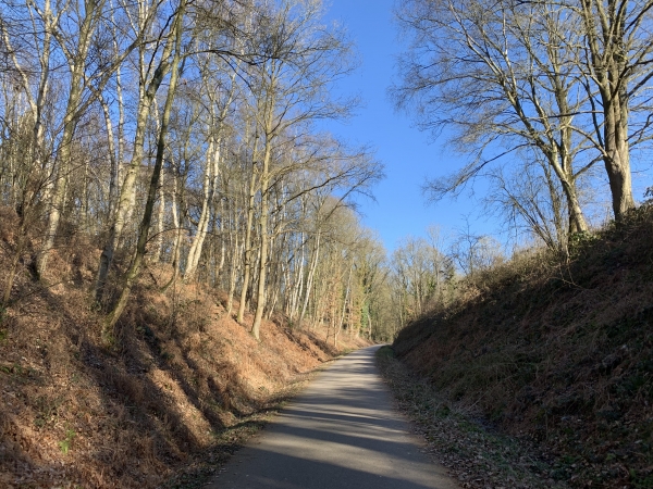 Nous sommes sur l'ancienne voie ferrée de Charleval à Serqueux. Elle desservait la gare de la Station Thermale de Forges-les-Eaux. La ligne a été déclassée puis déferrée dans les années 70.