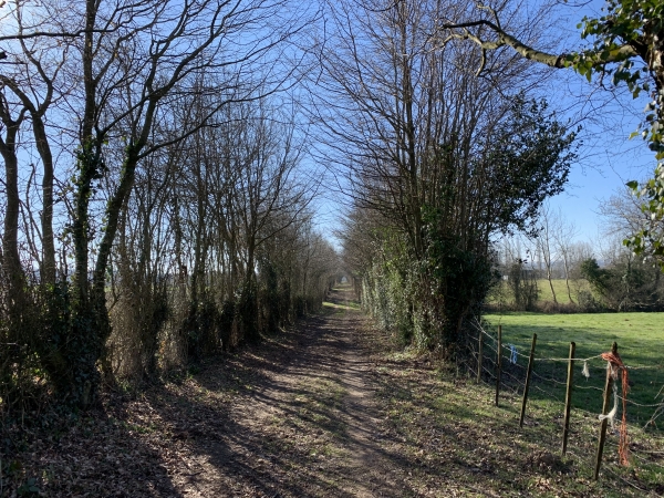 Chemin vers la ferme du Flot dans le prolongement du boulevard Thiesse.