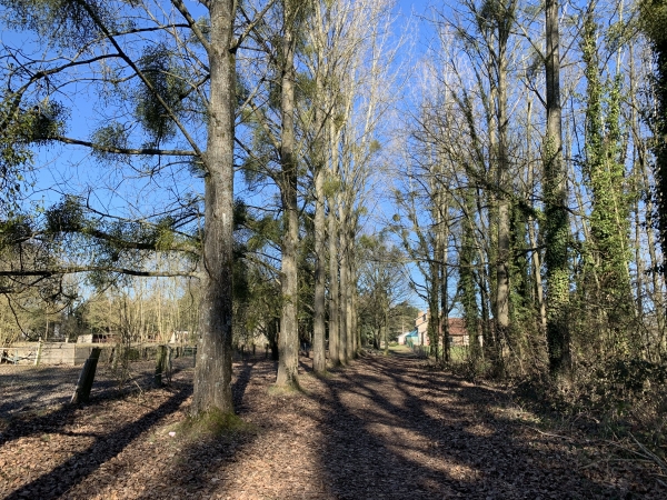 Ancienne voie ferrée de Charleval-Serqueux, retour à Forges-les-Eaux.