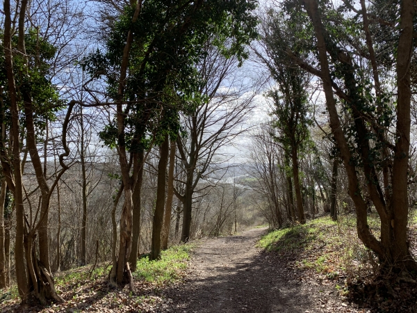 Nous retrouvons le GR2, qui ne finira jamais de nous épater, et distinguons déjà la Seine.
