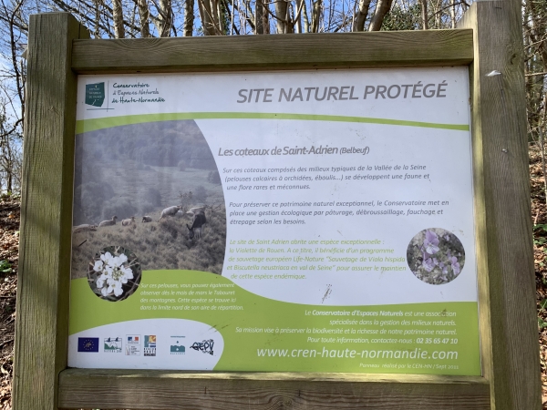 Les coteaux Saint-Adrien, site naturel protégé.