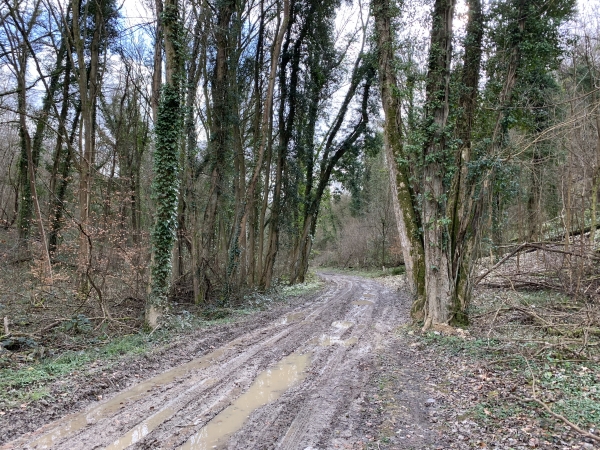 Le Fond de Brunval sur le GR25. Le chemin labouré par les engins forestiers est difficilement praticable en période humide.