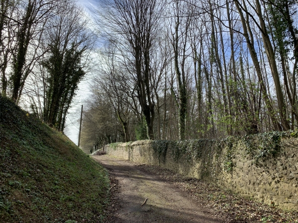Boisgeloup, chemin de la Cavée le long du parc du château.