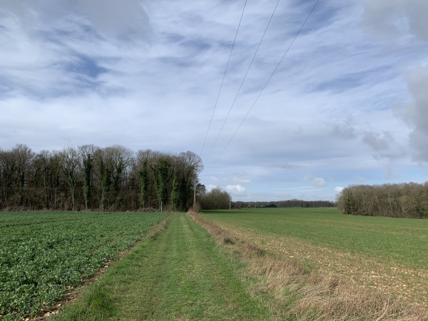 Plaine du Mont de Magny.