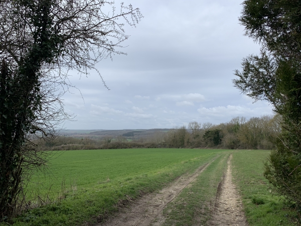 Chemin du Baron, descente vers Mauréaumont.