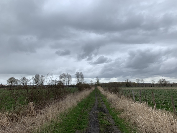Chemin de la Reine Blanche au Fossé Au Roi.