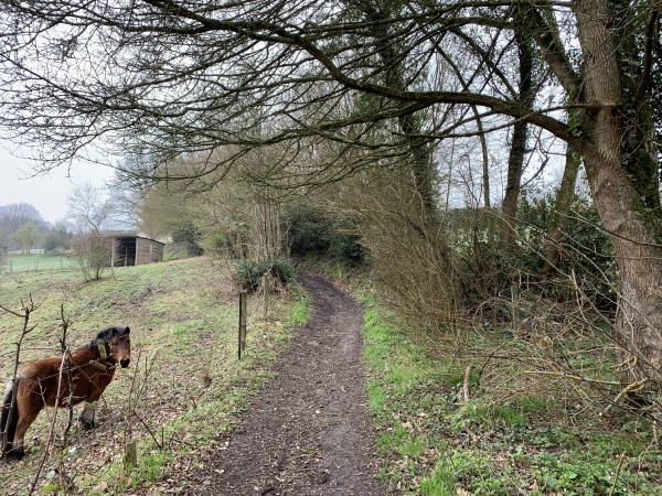 Chemin de la Mare au Vivier.