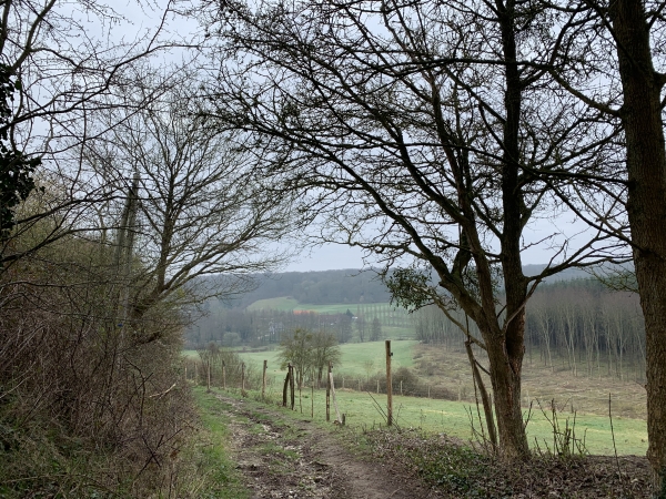 Chemin de la Mare au Vivier.