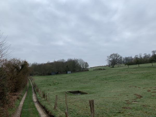 Le Mont Hamel, chemin du Champ Corneille.