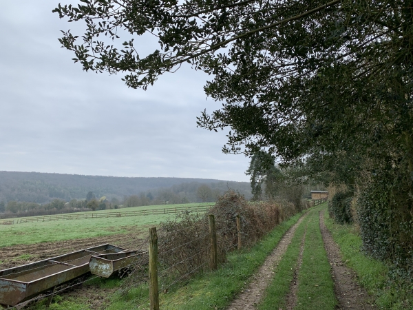Le Mont Hamel, chemin du Champ Corneille. Regard arrière sur la vallée de l'Oison.